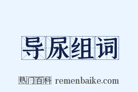导尿组词是什么意思的图片